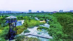 La Isla Shopping Village